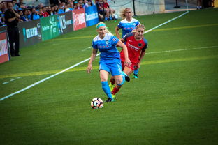 MILAN SPORTS-中国篮球职业联赛俱乐部青训体系实践，全国篮球俱乐部青年联赛